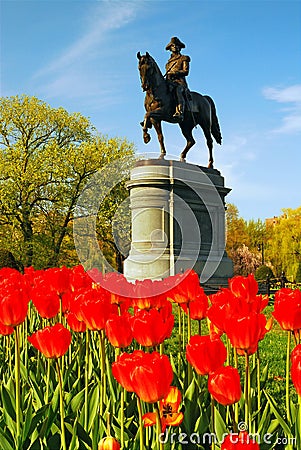 General Washington in the Tulips Editorial Stock Photo