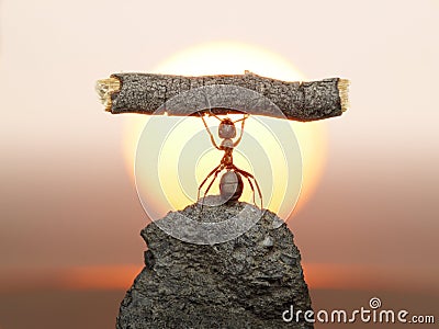 Statue of Labour, ants civilization Stock Photo