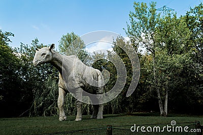 Megaterius at Parco Natura Viva Editorial Stock Photo