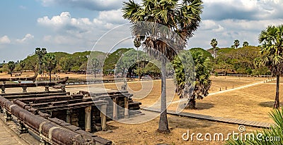 Statue of Naga guards the Angkor Wat, Cambodia Stock Photo