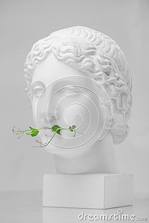 statue from plaster with micro greens of baby sprout of peas on white background. Vegetarian and healthy food concept Stock Photo