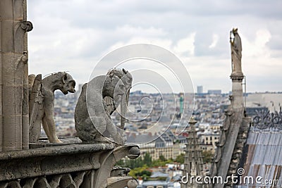 Statue on th Notre Dame in Paris cathedral while observing the c Stock Photo