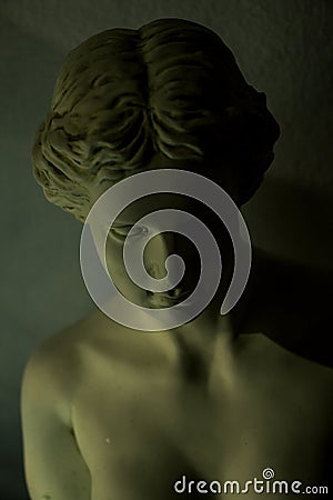 Venus in shadow. Stock Photo