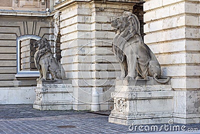 Statues of lions at royal palace of Buda in Budapest, Hungary Stock Photo