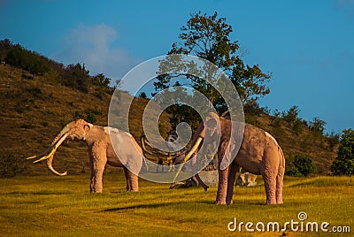 Statues of mammoths near the tree. Prehistoric animal models, sculptures in the valley Of the national Park in Baconao, Cuba. Editorial Stock Photo