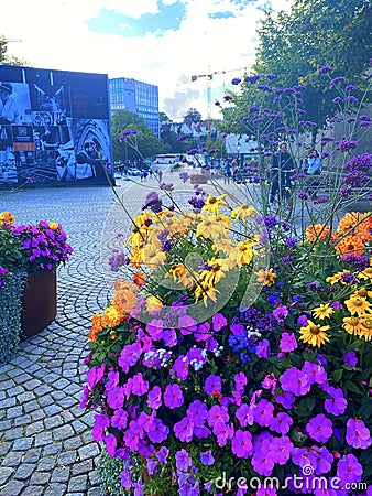 Stavanger city with flowers Editorial Stock Photo