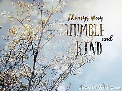 Always stay humble and kind word and white blossom flower tree Stock Photo