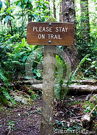 Stay on Trail sign in Redwood national forest hiking trail Stock Photo