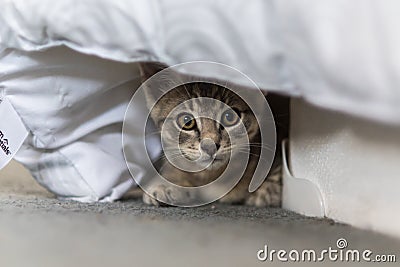 Staying under the covers of safety. Stock Photo