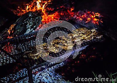 Steaks on an open campe fire in the wilderness of Botswana Stock Photo