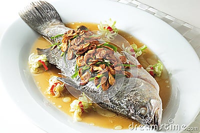 Fish themes Fish themes