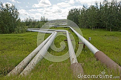 Steam pipes, Alberta Editorial Stock Photo