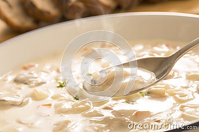 Warm clam chowder Stock Photo