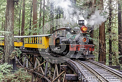 Steam train passing through redwood forests Stock Photo