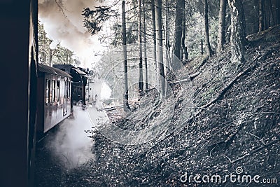 Steam train ride Stock Photo