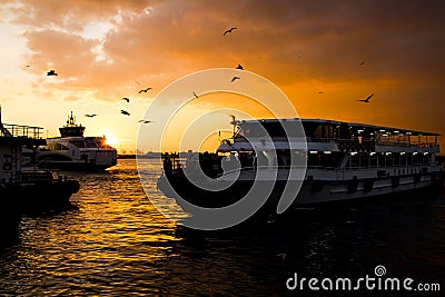 Steamboat seagulls and sunset view Editorial Stock Photo