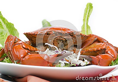 Steamed brown crab. Stock Photo