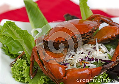 Steamed brown crab on salad. Stock Photo