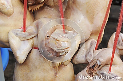 Steamed chickens Stock Photo