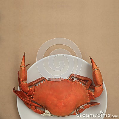 Steamed crabs prepared on white plate Stock Photo