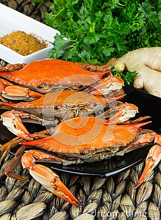 Steamed crabs with spices. Crab and Beer Festival. Maryland blue crabs. Stock Photo