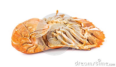 Steamed flathead lobster isolated on white background Stock Photo