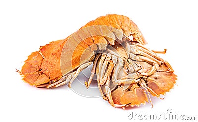 Steamed flathead lobster isolated on white background Stock Photo