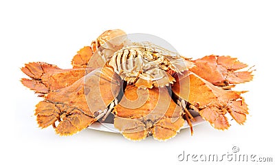 Steamed flathead lobsters isolated on white background Stock Photo