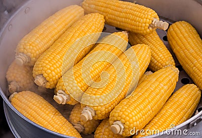 Steamed Fresh Corn, Corn boiling. Stock Photo