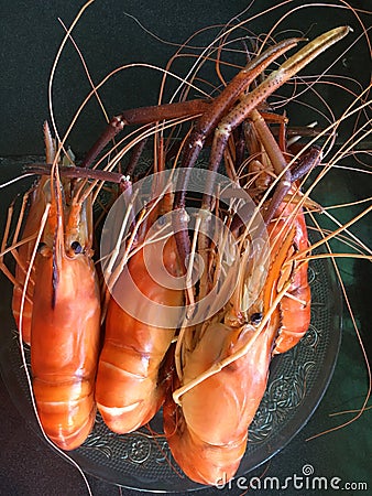 Steamed giant freshwater prawn on a plate Stock Photo