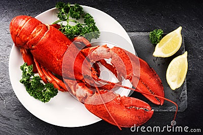 Steamed lobster with lemon on white plate. Sea food background Stock Photo