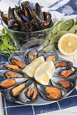 Steamed mussels Stock Photo