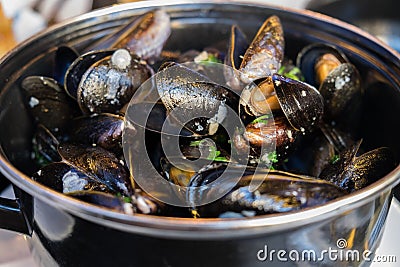 Steamed mussels in white wine and butter sauce Stock Photo