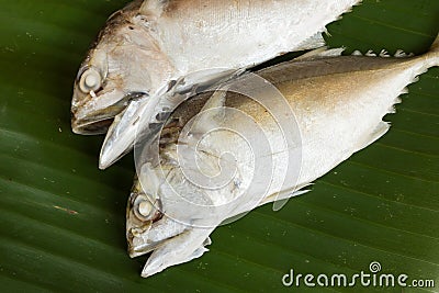 Steamed short-bodied mackerel on banana leaf. Stock Photo