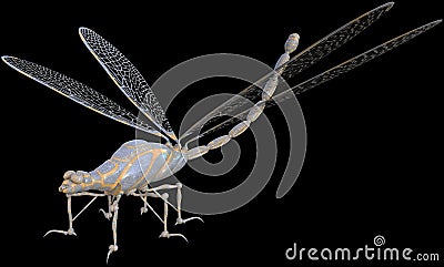 Steampunk Machine, Dragonfly Insect, Isolated Stock Photo
