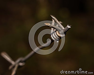 Steel barbed wire on dark background, Stock Photo