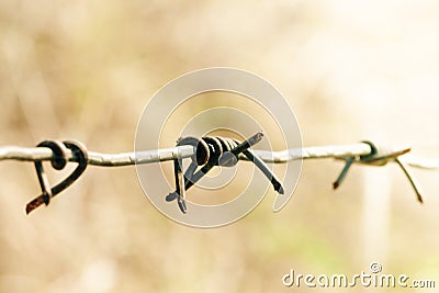 Steel barbed wires and blurry background in the field. Human rights and social justice abstract concept with blurry barbed wire Stock Photo