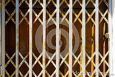 Steel grid closed entrance door Stock Photo