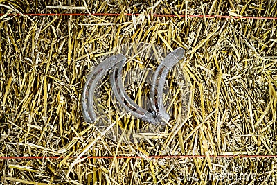 Letter N Steel Horseshoe on Straw Stock Photo