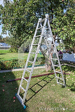 Steel ladder standing under apple tree for ripe apples harvesting, home garden Stock Photo