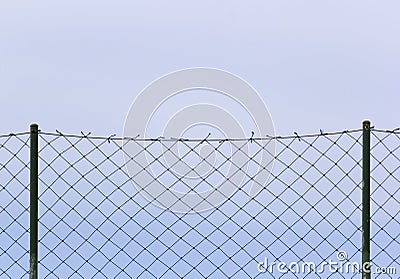 Steel mesh sky blue backgroun Stock Photo