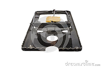 Steel mouse trap and bait, dirty mouse trap isolated on white background Stock Photo