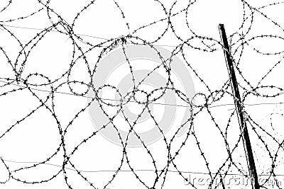 Steel strands of rolled barbed wire on the fence of the prison against the gray sky. Stock Photo