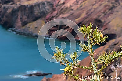 Steep cliffs in Madeira and the Atlantic Ocean. Taken at St. Lawrence Peninsula Stock Photo