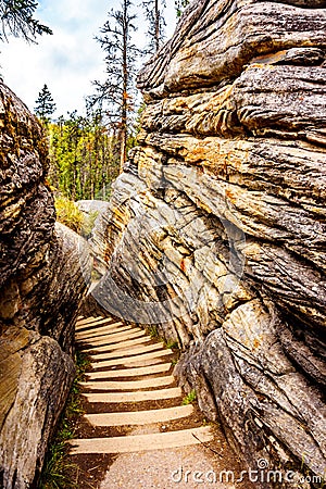 The steep stairway that goes from the top of the Athabasca Falls to the canyo Stock Photo