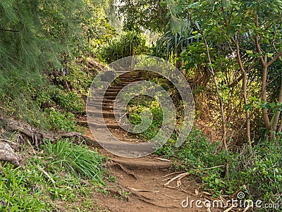 Steep steps in the dirt path of Kalalau trail on Na Pali coast of Kauai Stock Photo