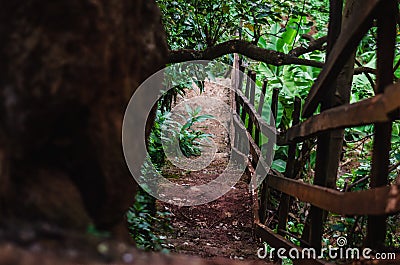 Steep steps down a path in a forest next to a big rock Stock Photo