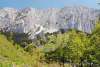 Limestone walls in piatra craiului mountains,romania Stock Photo