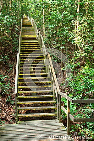 Steep Wooden Staircase Challenge Stock Photo