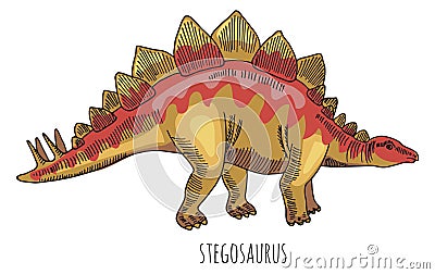 Stegosaur dinosaur color drawing. Wild ancient herbivore Stock Photo